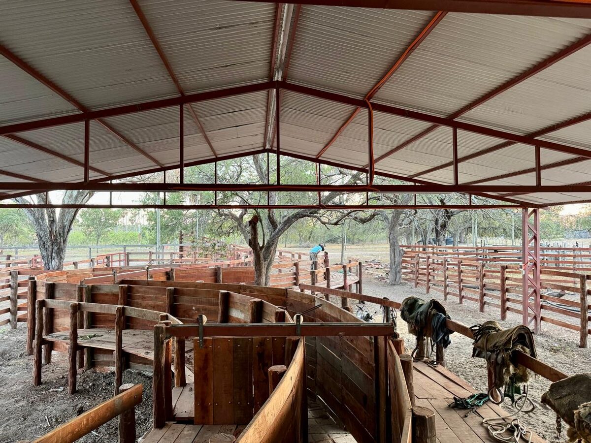 Corral techado con manga de trabajo — Estancia Manuela